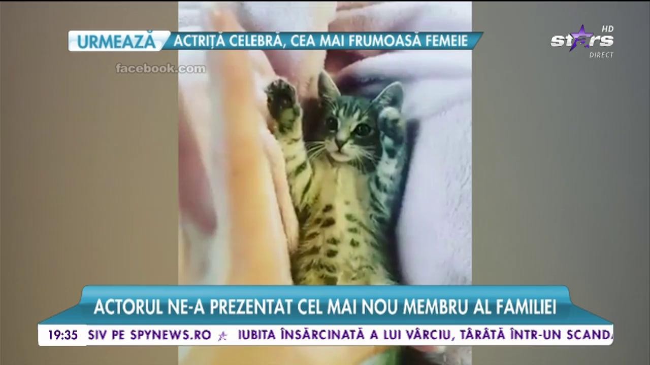 Dan Badea și iubita lui și-au mărit familia! Actorul ne-a prezentat noul membru!