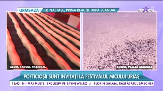 Bucureştenii pot m&acirc;nca bine &icirc;n parcurile din capitală
