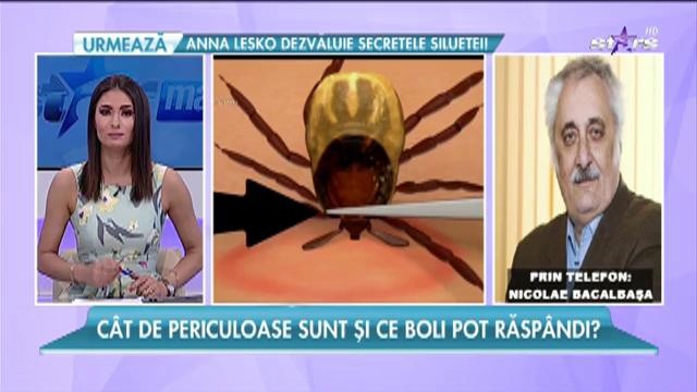 Zeci de oameni la spital din cauza căpuşelor! &Icirc;nsectele au devenit foarte active după zilele călduroase!
