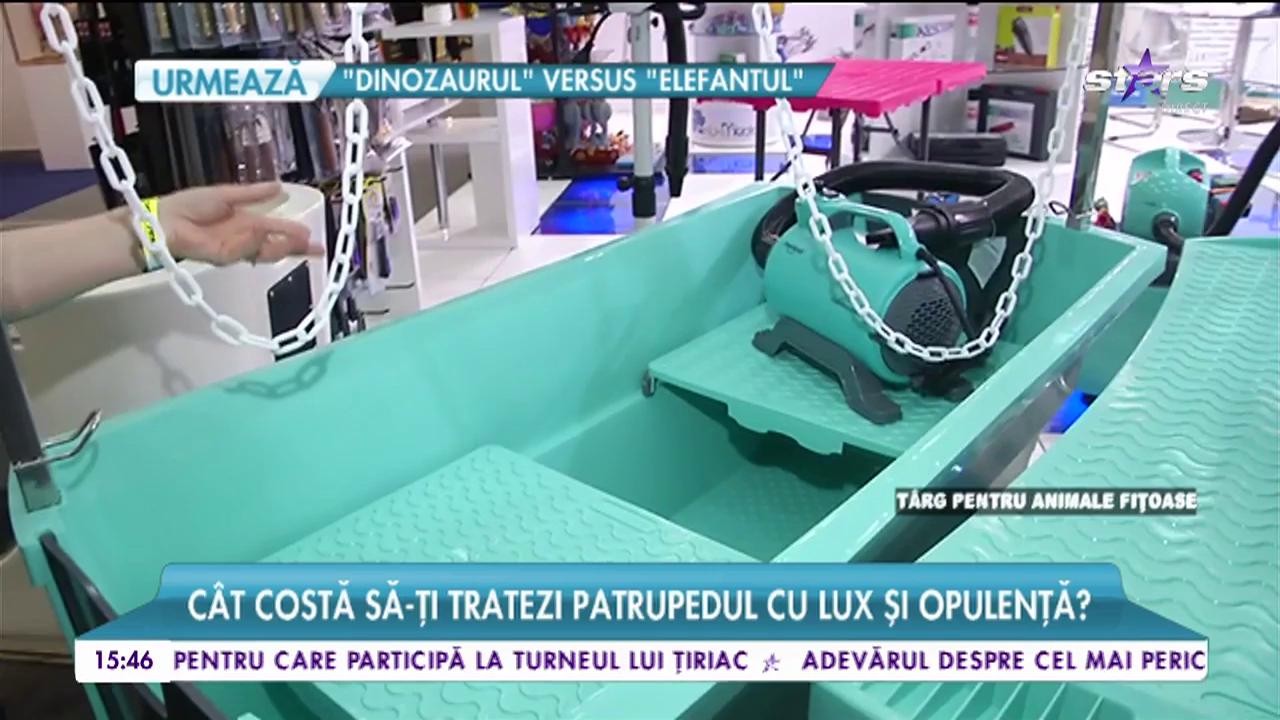Fiţe şi aroganţe pentru animalele de companie!