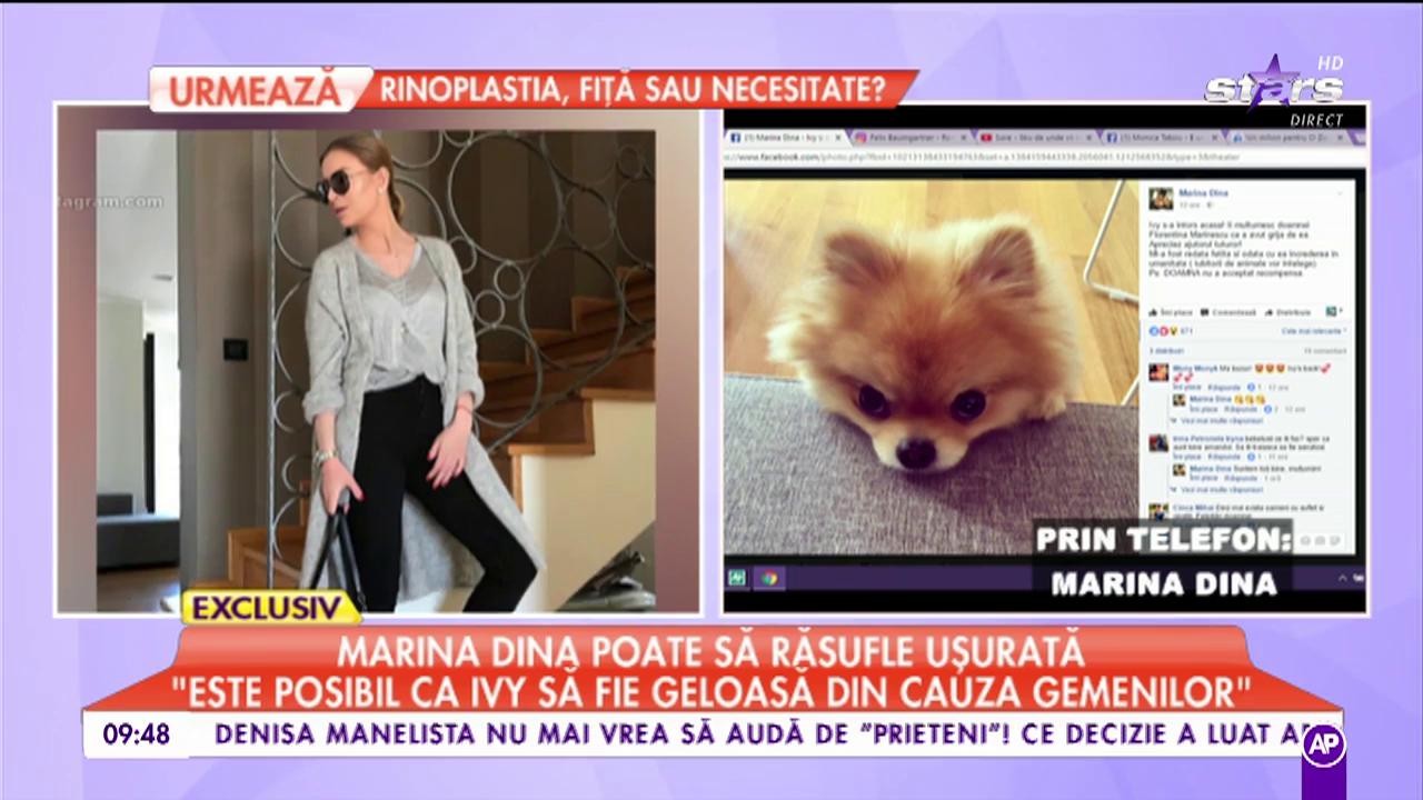 Căţeluşa Marinei Dina a fost găsită, dar ce s-a &icirc;nt&acirc;mplat mai apoi: "Doamna nici nu a vrut să audă"