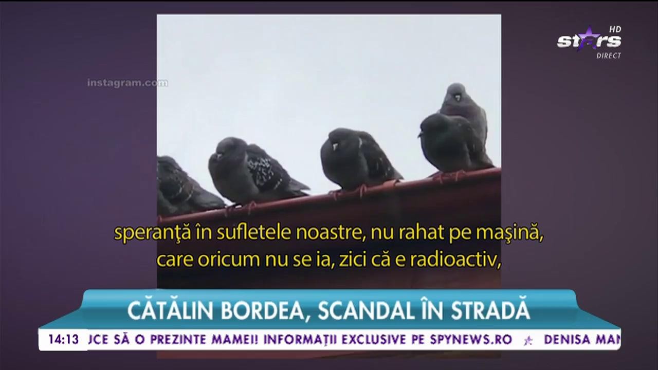 Cătălin Bordea, şedinţă de urgenţă &icirc;n mijlocul străzii! Scos din sărite, actorul se ceartă cu un grup de... porumbei!
