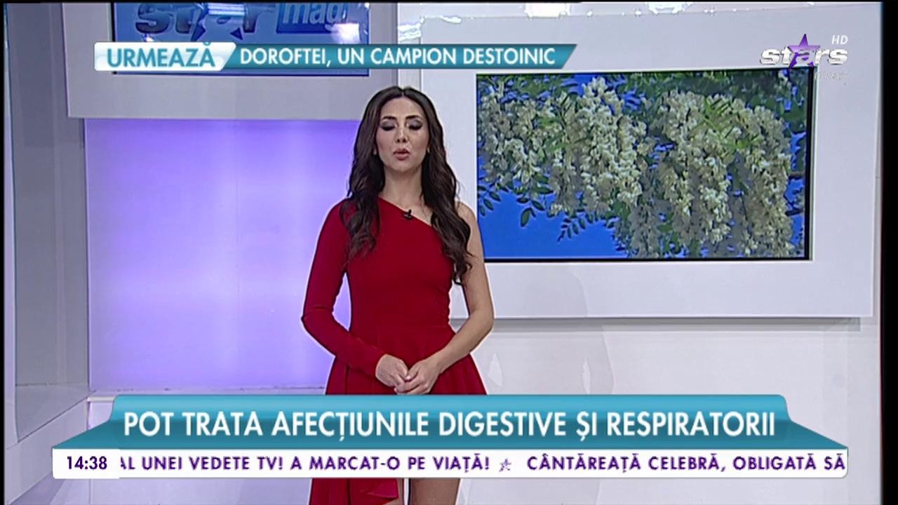 Florile de salc&acirc;m, pe post de medicament