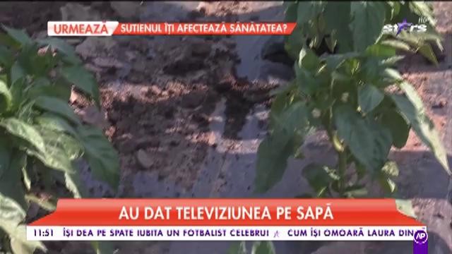 Răzvan Botezatu, Natalia Mateuț și Raluca Dumitru au dat din greu! Au fost pe c&acirc;mp la dat cu sapa