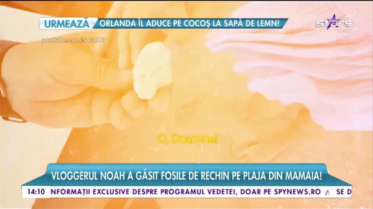 &Icirc;ncă un episod din aventurile familiei S&icirc;nă-Serea la mare!