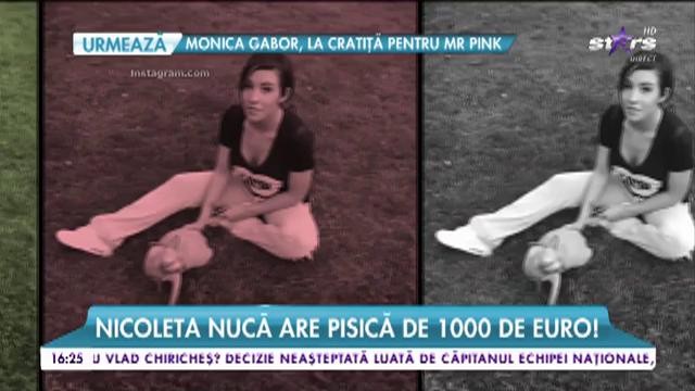 Și-ar da şi ultimul leu din buzunar pentru patrupede