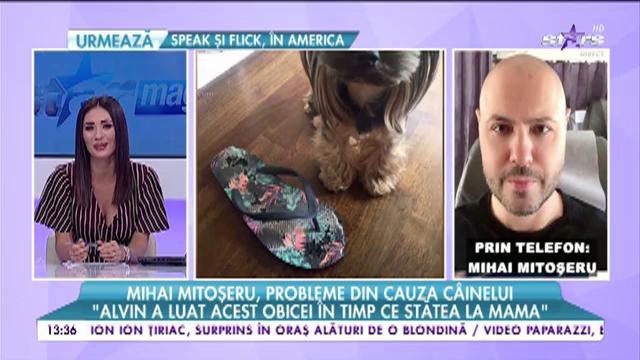 Mihai Mitoșeru a rămas fără pantofi din cauza c&acirc;inelui