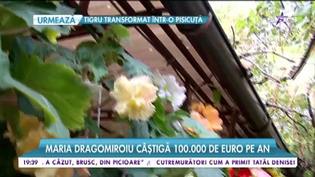C&acirc;ntăreţii stau &icirc;n vile impunătoare şi conduc bolizi! Au c&acirc;ntat toată viaţa lor şi au str&acirc;ns averi colosare