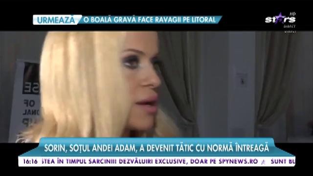 Lista bărbaţilor "casnici" din showbiz