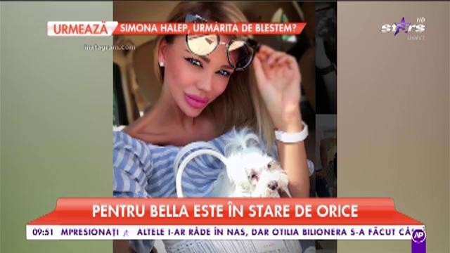 Singurele fiinţe care le &icirc;ngenunchează pe vedetele noastre