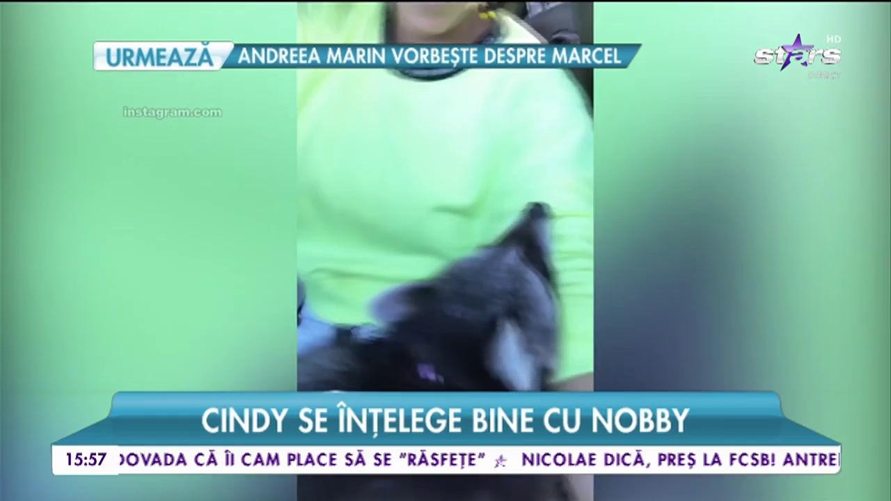 Adelina Pestriţu &icirc;ncearcă să-și dreseze ratonul