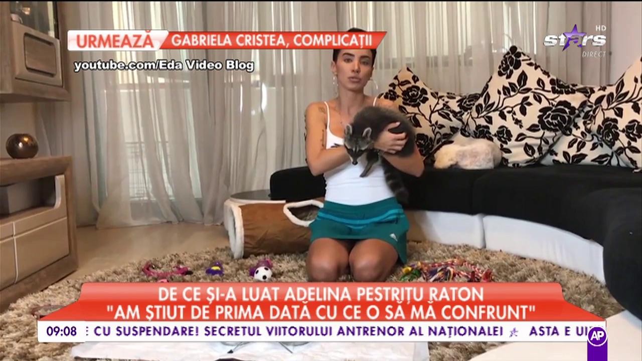 Adelina Pestriţu a dezvăluit de ce a ales să &icirc;şi cumpere un raton: "Este animalul meu preferat din copilărie"