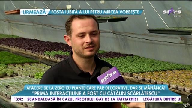 Afacere de la zero cu plante care par decorative, dar se măn&acirc;ncă! &bdquo;Microplantele sunt, așa cum le spunem noi, o noua categorei de legume&rdquo;