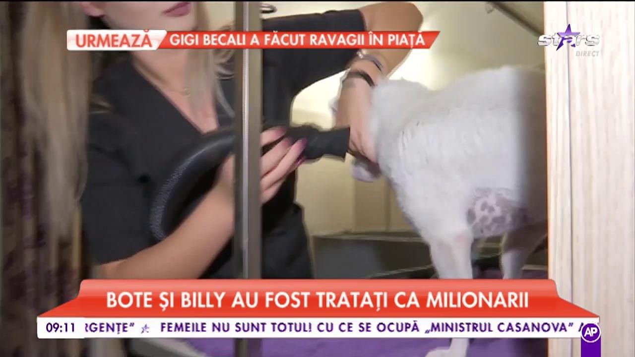 Bote și Billy au fost tratați ca milionarii la un salon de &icirc;nfrumusețare!