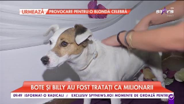 Bote şi Billy, prezentatorii Antena Stars, răsfăţ VIP la un salon de &icirc;nfrumuseţare