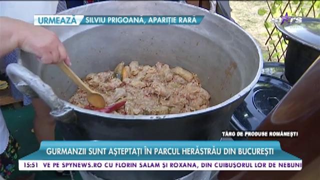 Rom&acirc;nii măn&acirc;ncă &icirc;n stil tradițional &icirc;n Parcul Herestrău