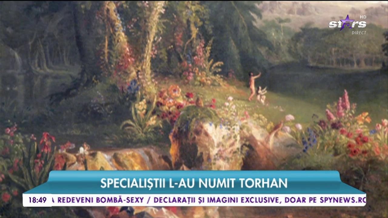 Cercetătorii au reușit să descifreze codul Bibliei. Extratereștrii au fost pomeniți &icirc;n Vechiul Testament!