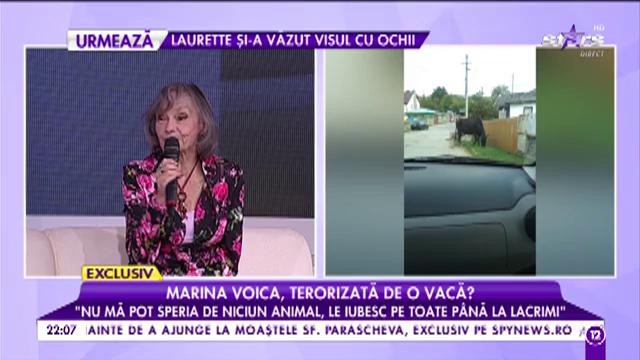 Marina Voica, terorizată de o vacă? &bdquo;Nu mă pot speria de animale, le iubesc pe toate&rdquo;