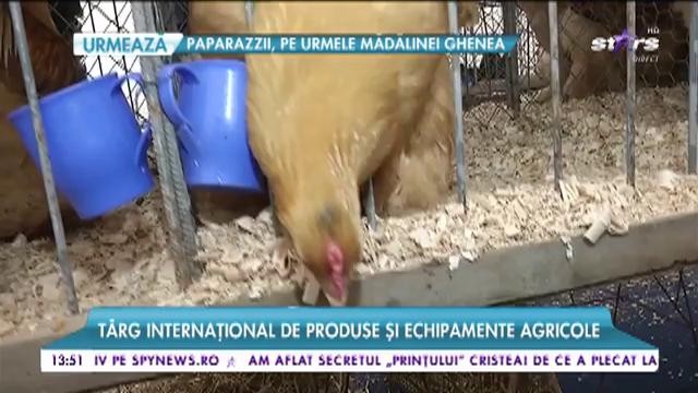 T&acirc;rg internațional de produse și echipamente agricole