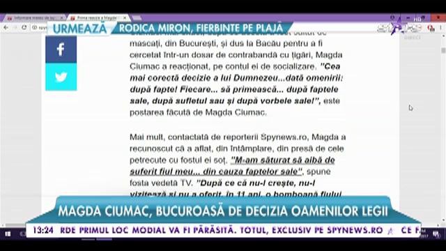 Tolea a fost săltat de mascați
