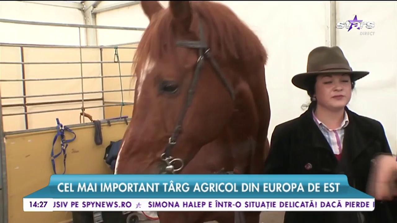 Cel mai important T&acirc;rg Agricol din Europa de Est ne prezintă cele mai scumpe exemplare de animale
