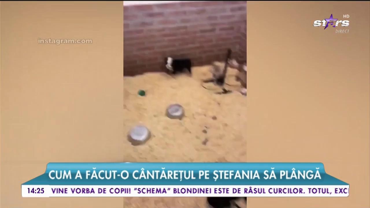 Speak și &bdquo;Libelula&rdquo;, primele certuri &icirc;n cuplu