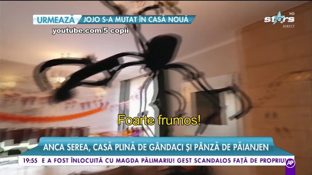Anca Serea are casa plină de g&acirc;ndaci și p&acirc;nză de păianjeni