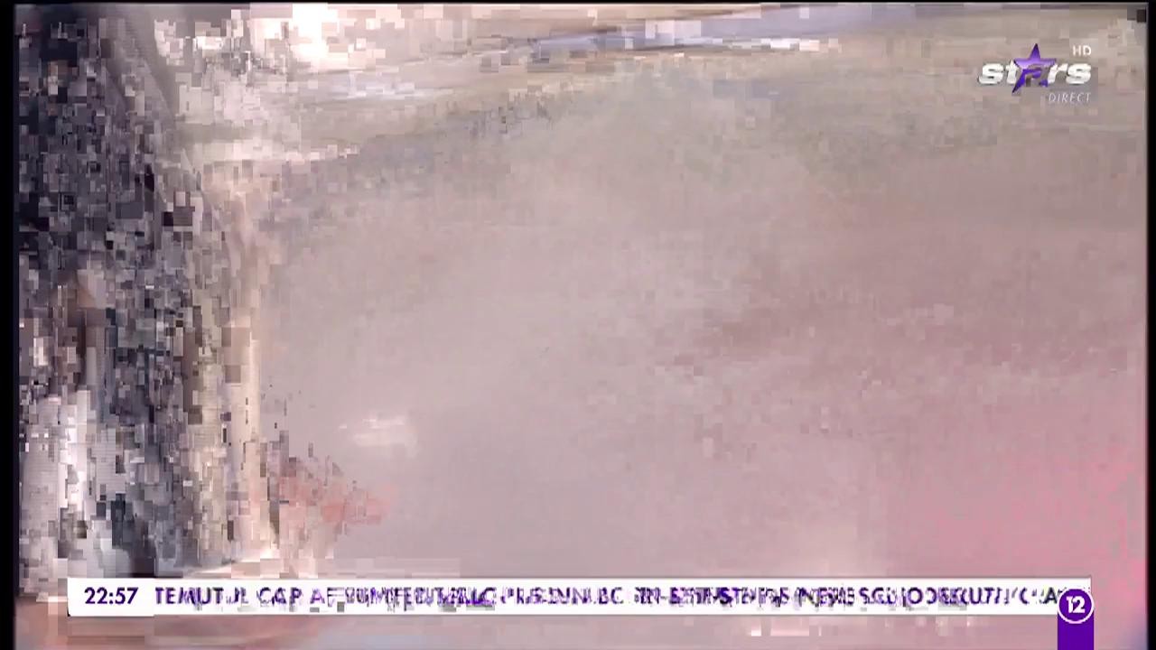 Rona Hartner - "Sell-fish"