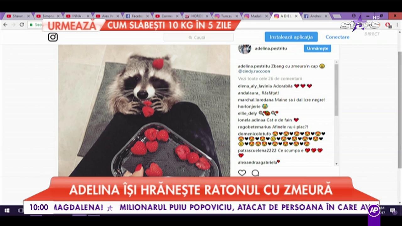 Adelina &icirc;și hrănește ratonul cu zmeură. Animalul de companie al vedetei are un stil de viață sănătos