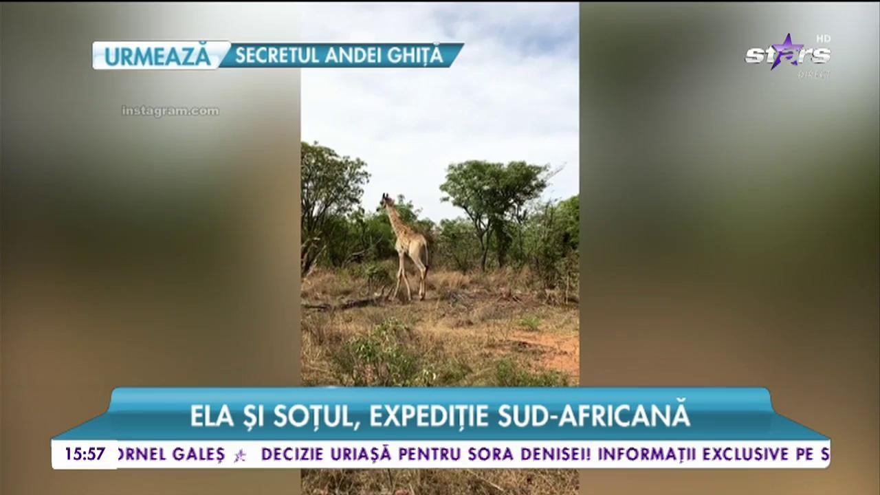 A avut o nuntă ca &icirc;n povești. Ela Arjandas, cea mai norocoasă rom&acirc;ncă, a plecat &icirc;ntr-o vacanță de zeci de mii de euro