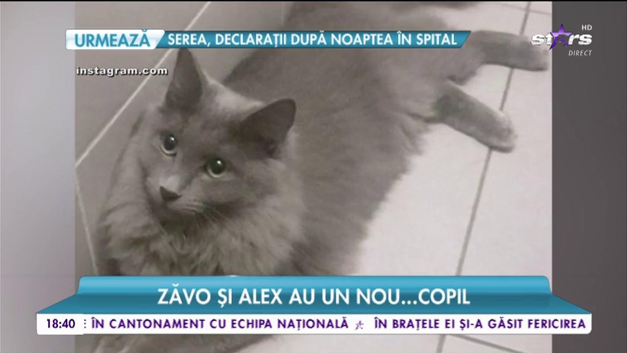 După nuntă, familia Oanei Zăvoranu s-a mărit. Un nou membru &icirc;n familia vedetei