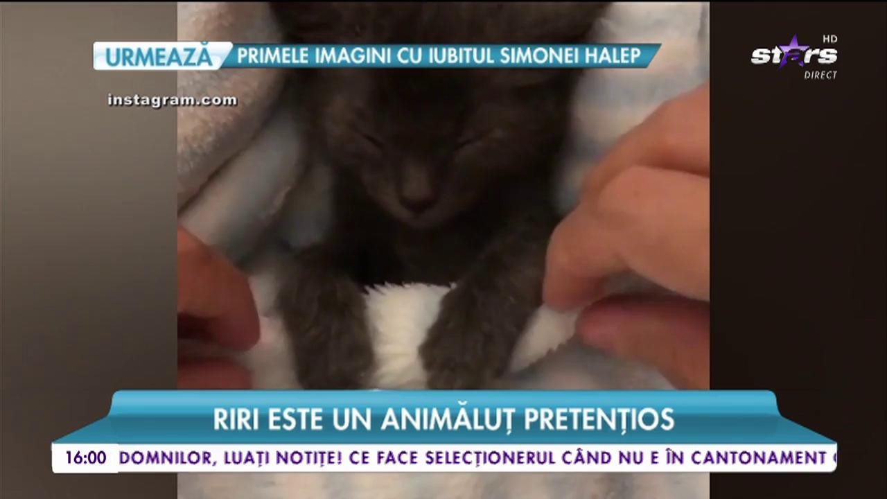 Oana Zăvoranu, o nouă achiziție de lux. Exemplarul a costat peste 500 de Euro