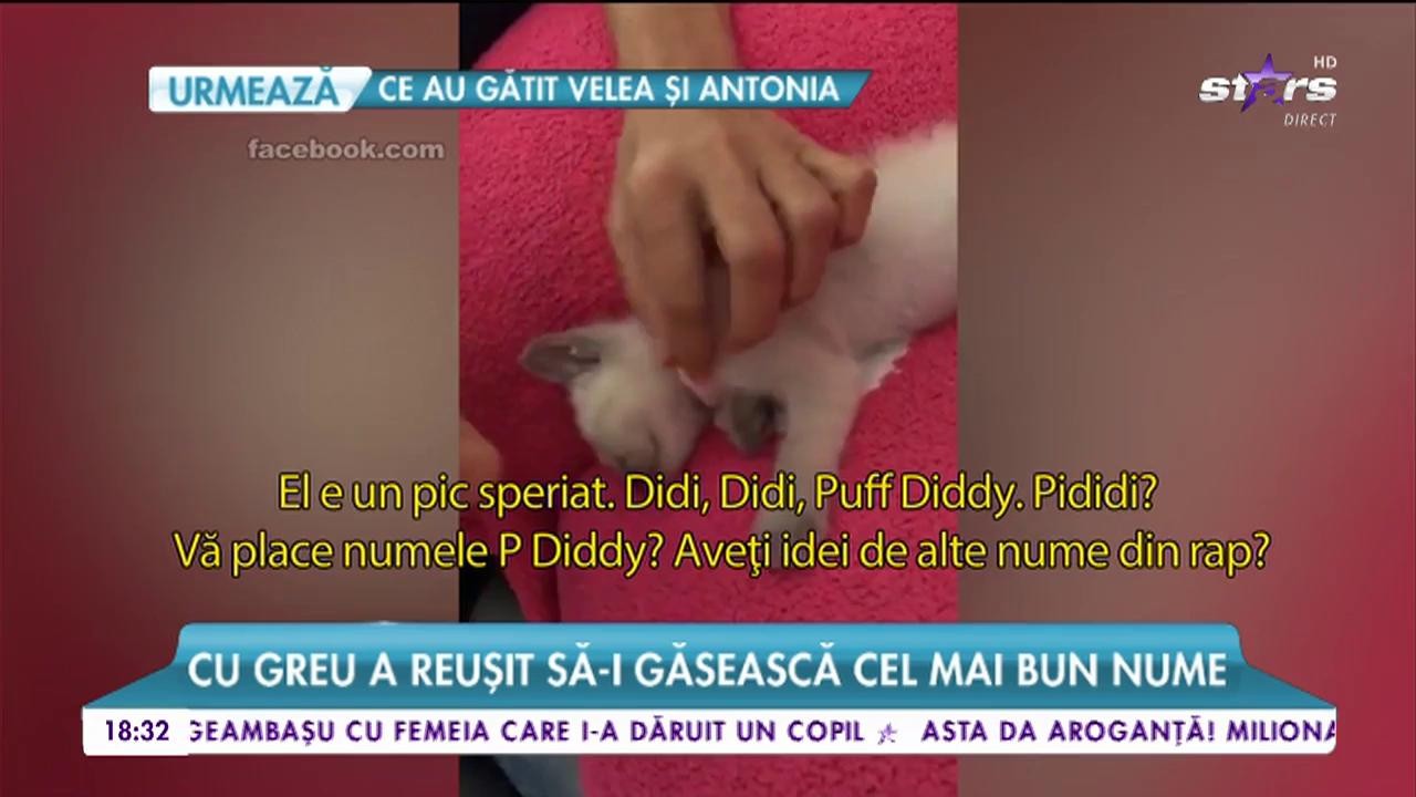Oana Zăvoranu are un nou membru &icirc;n familie. Cu greu a reușit să găsesca un nume potrivit