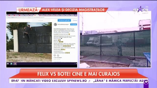 Felix vs Bote! Cine e mai curajos