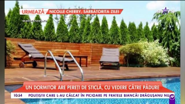 Imagini spectaculoase din casa lui Ion Țiriac