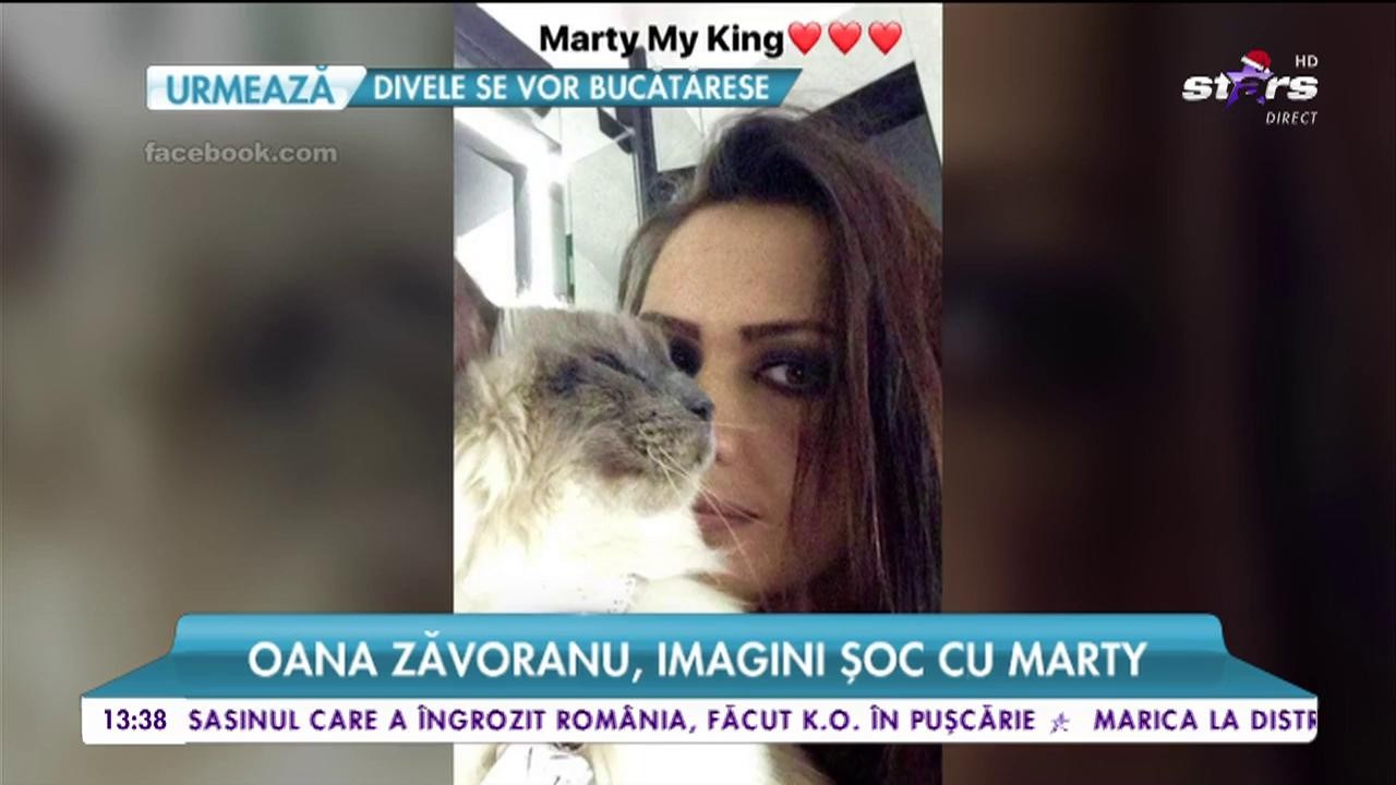Oana Zăvoranu, imagini șoc cu Marty. Bruneta și-a &icirc;mpăiat motanul preferat