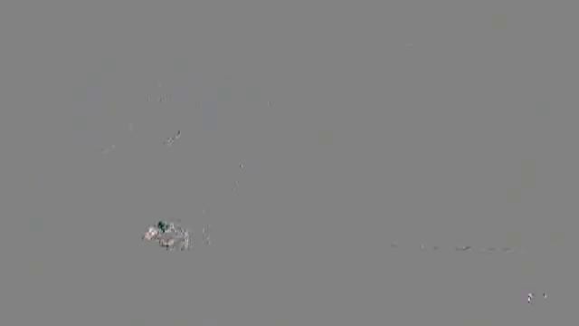 Mircea Eremia, planuri de insurătoare pentru 2018. Ce condiții trebuie să &icirc;ndeplinească viitoarea soție