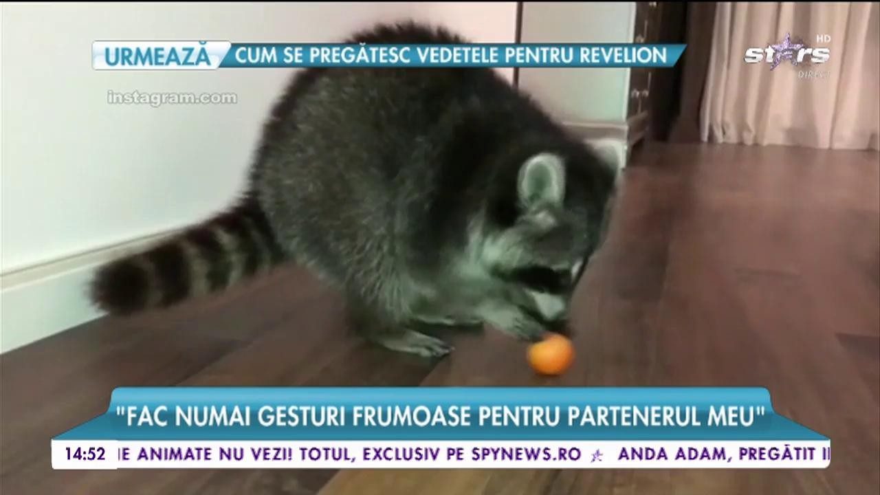 Controversate și mereu surprizătoare. Laurette, nuntă și divorț &icirc;ntr-un singur an