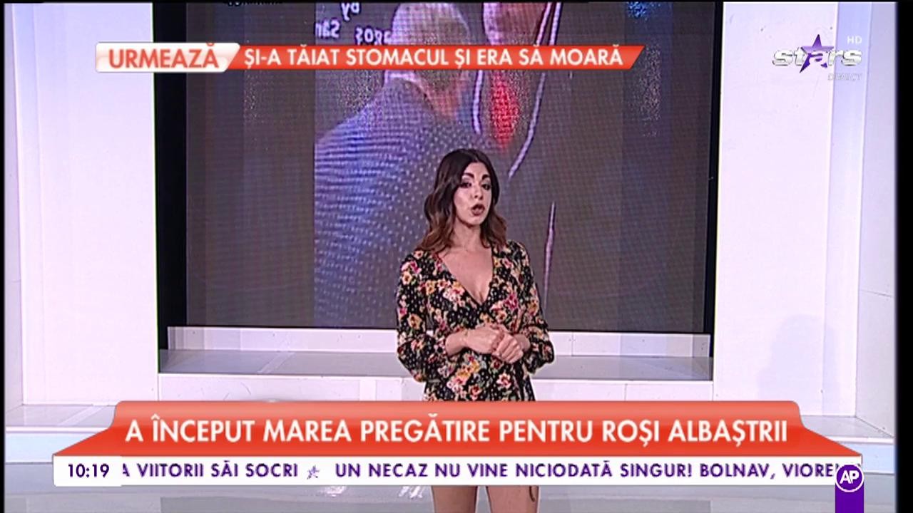 A inceput marea pregătire pentru roși albaștrii. Dică își face costum