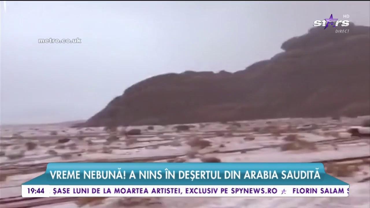 Dromaderii au fost acoperiți de zăpadă. A nins &icirc;n deșertul din Arabia Saudită
