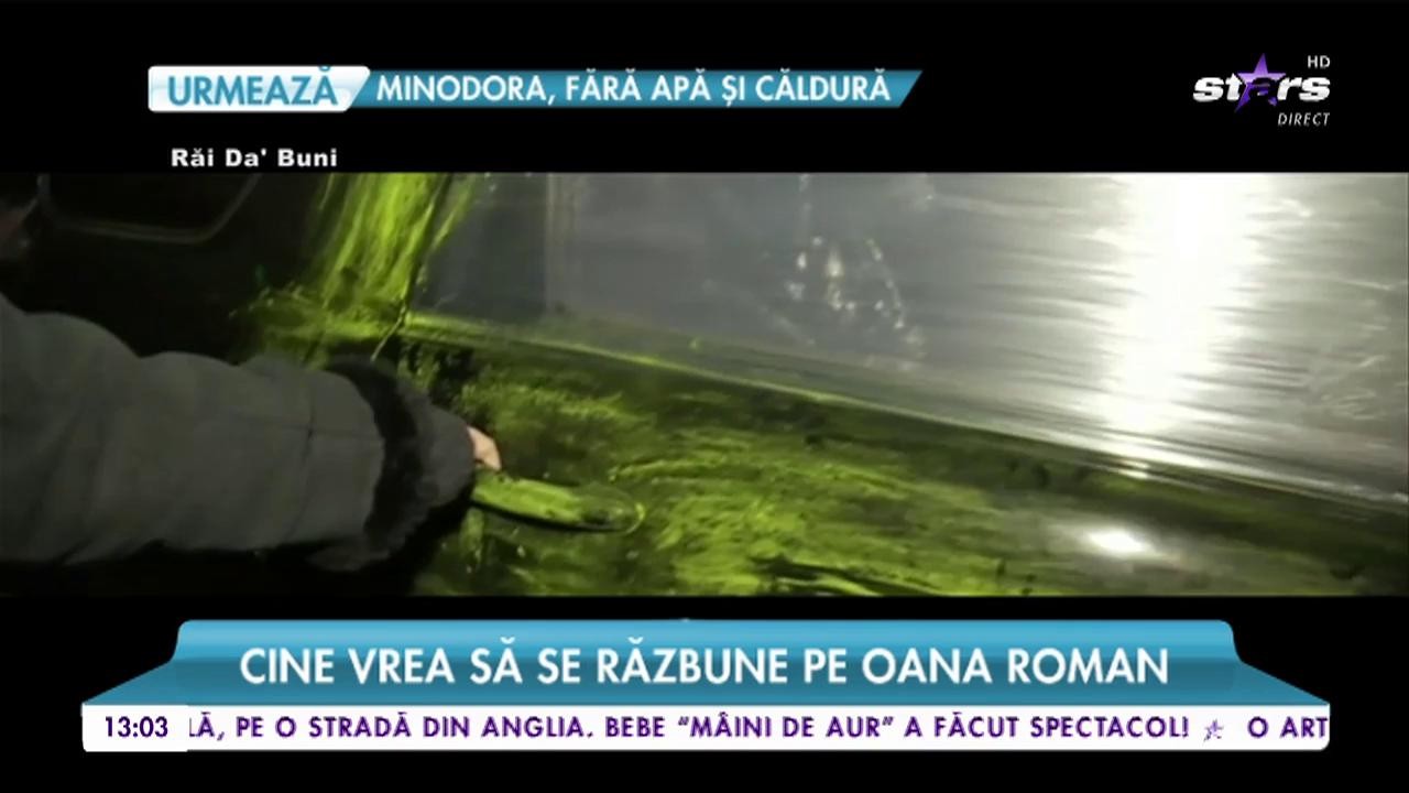 Cine vrea să se răzbune pe Oana Roman. Vedeta vorbește despre incident