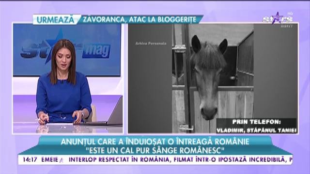 Să o găsim pe Tania! Se oferă recompensă. Anunțul care a &icirc;nduioșat o &icirc;ntreagă Rom&acirc;nie
