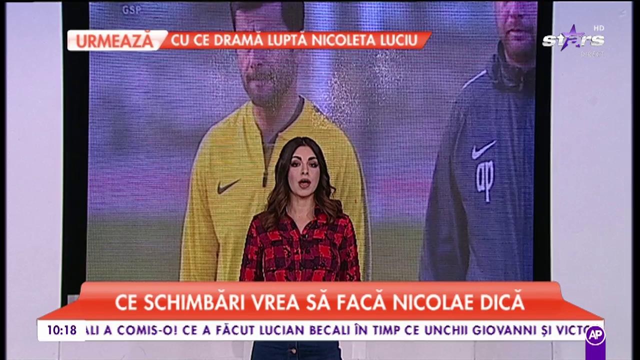 Ce schimbări vrea să facă Nicolae Dică