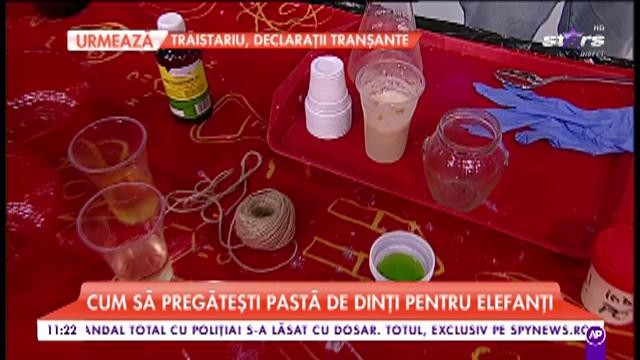 Cele mai trăsnite experimente. Cum să pregătești pastă de dinți pentru elefanți