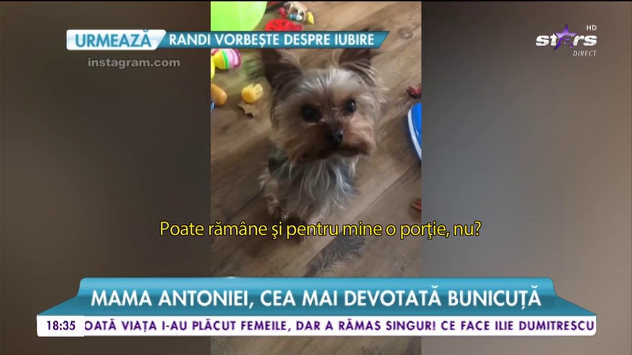 Mama Antoniei, cea mai devotată bunicuță