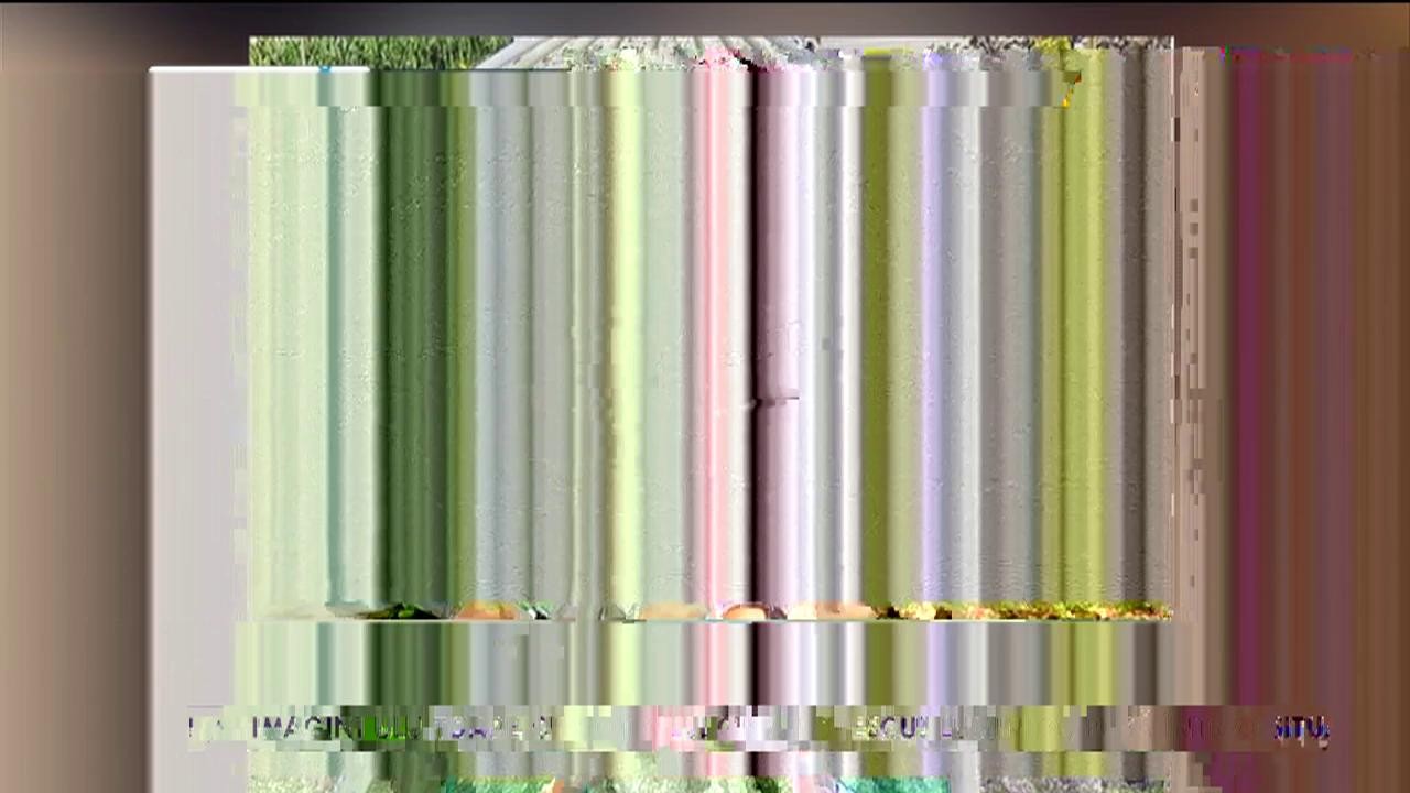 Ioana Tamaș s-a &icirc;ntors la soțul ei &icirc;n Israel. Gabriel Tamaș, bucuros că soția și fetița sunt alături de el