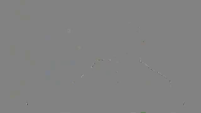 Vali Vijelie și Nicu Paleru, show pe un yacht &icirc;n America