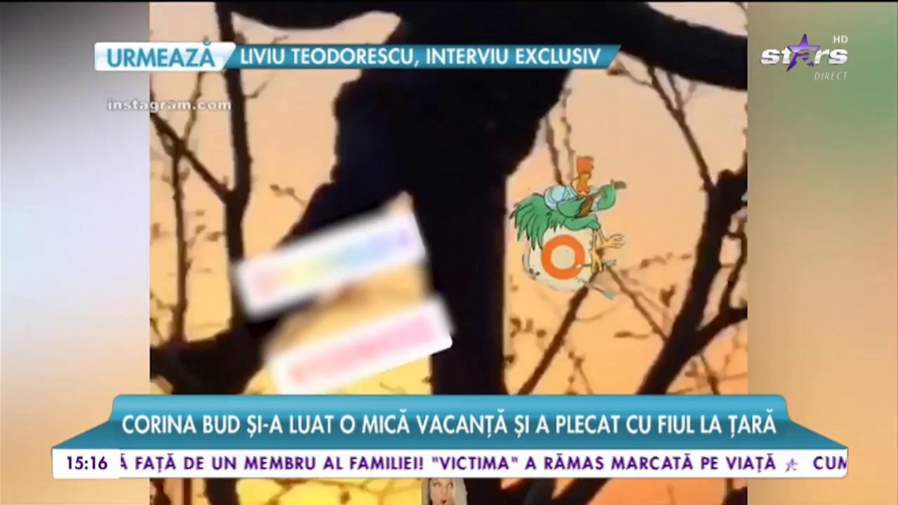Corina Bud, viața la țară! Artista &icirc;și duce fiuldes pe plaiurile natale
