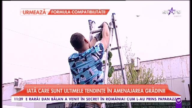 Trucuri pentru amenajarea grădinii tale. Idei de amenajări interioare