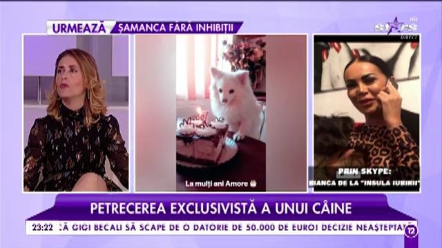 Petrecerea exclusivistă a unui c&acirc;ine. Bianca de la &rdquo;Insula iubirii&rdquo; și-a sărbătorit patrupedul